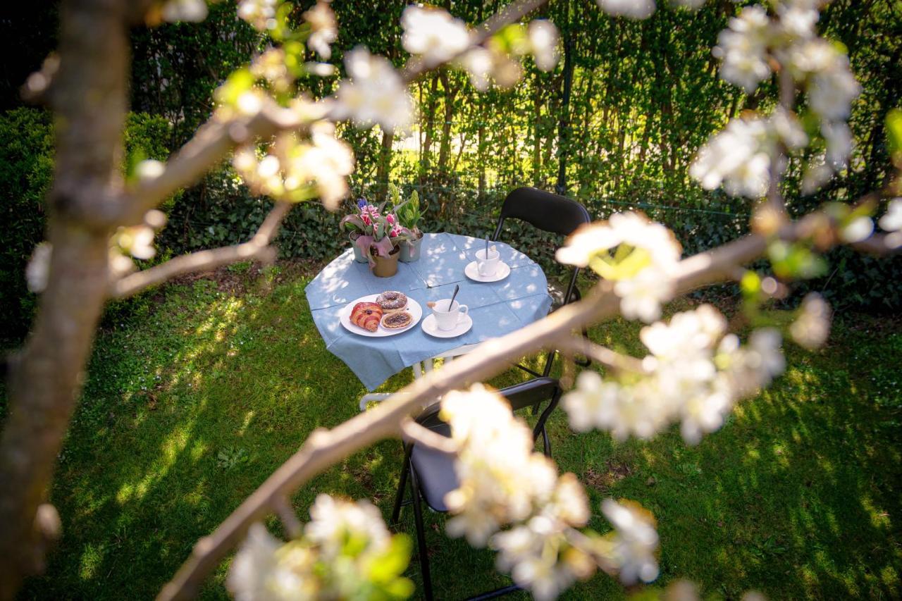 My Sweet Garden - By Myhomeincomo Cassina Rizzardi Exteriör bild